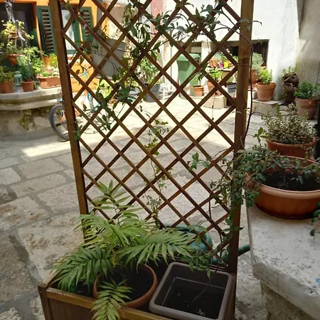 Bunari Studio Apartment