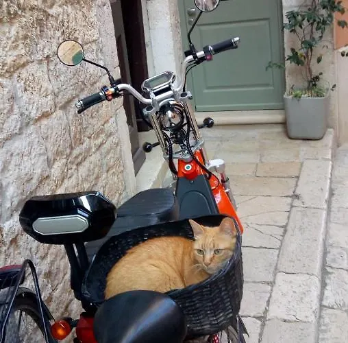 Bunari Διαμέρισμα *